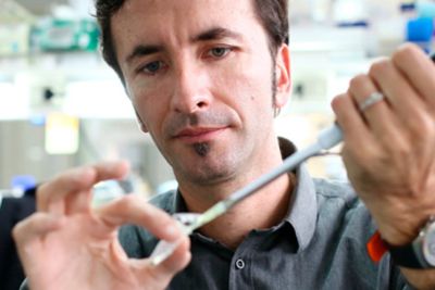 Biografía de Claudio Hetz: Investigador destacado en ciencias 133 Biografía de Claudio Hetz: Investigador destacado en ciencias