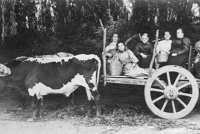 Biografía de Gertrudis Echenique: Pionera feminista destacada 65 Biografía de Gertrudis Echenique: Pionera feminista destacada